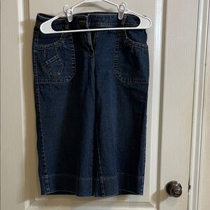 LOFT Dark Blue Women's Denim Skirt